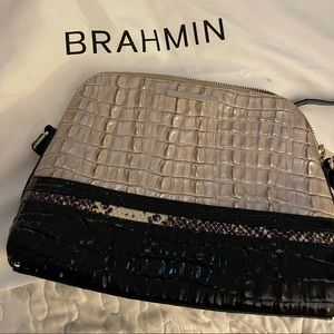 Brahmin Purse